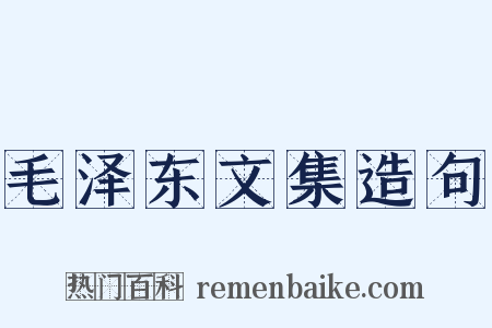 毛泽东文集造句是什么意思的图片